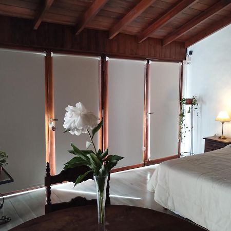 Cabana Monoambiente De Descanso Y Relax En Zona Barrio La Florida Pet Friendly Mar del Plata Exteriér fotografie